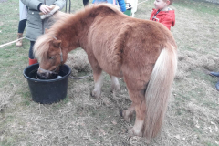 Coaching voor kinderen en jongeren