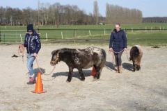 Coaching voor volwassenen