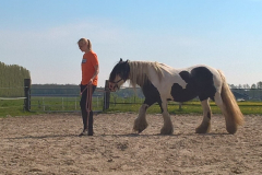 Coaching voor volwassenen